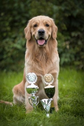 Pharao Tales of Mystery