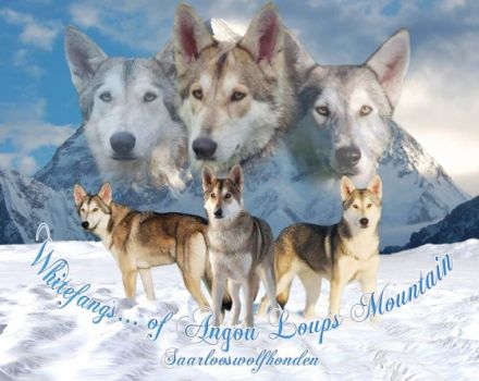Whitefang's ... of Angou Loup's Mountain