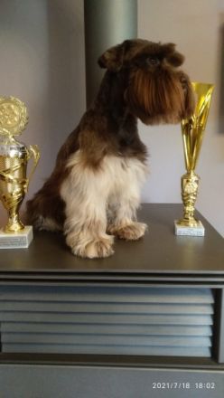 Xyros von Lexow Rufname Kuno