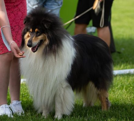 Dawning Hope z Bohušova vrchu