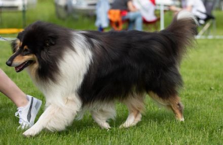 Dawning Hope z Bohušova vrchu