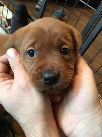 von den Ruhrpottwichteln