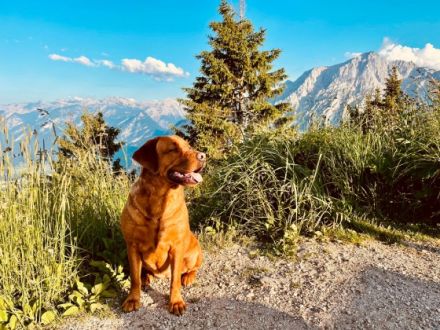 von den Ruhrpottwichteln