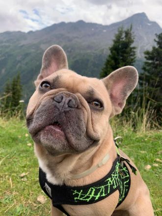 Sanja von der Schwarzperle