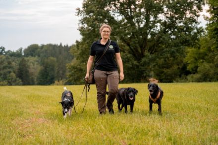 Hundeservice Angstenberger