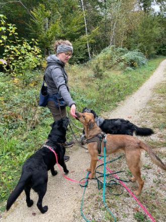 Hundeservice Angstenberger