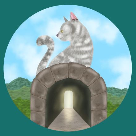 Britisch Kurzhhaar Katzen vom Abrahamschacht