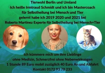 TIERWOHL BerLIN+Umland IRMTRAUD SCHMIDT