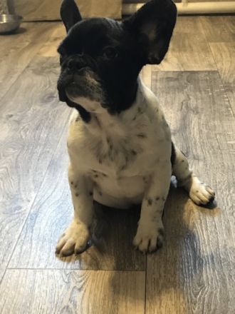 Mädchen schwarz weiß mit Punkten, sehr hübsch, sehr