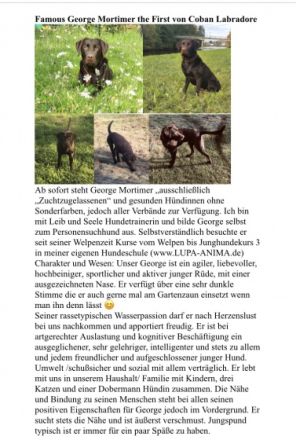 Famous George Mortimer