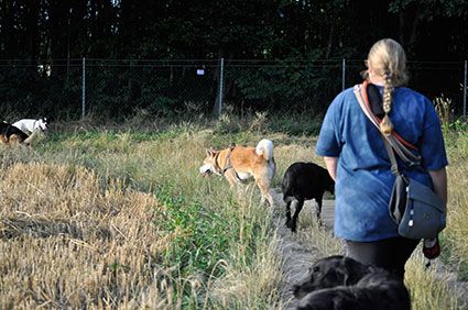 Dog&Dream - Hundeferien in der Familie, nur noch wenige Plätze frei