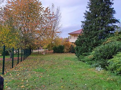 Dog&Dream - Hundeferien in der Familie, nur noch wenige Plätze frei