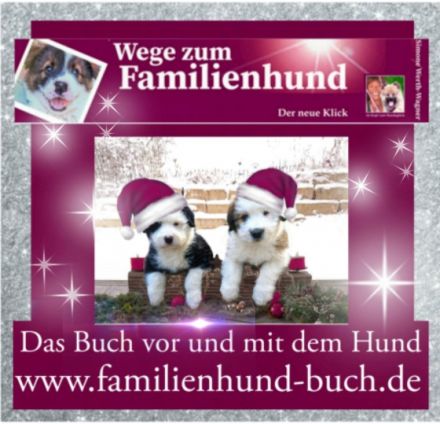 Wege zum Familienhund - Weihnachten 2022