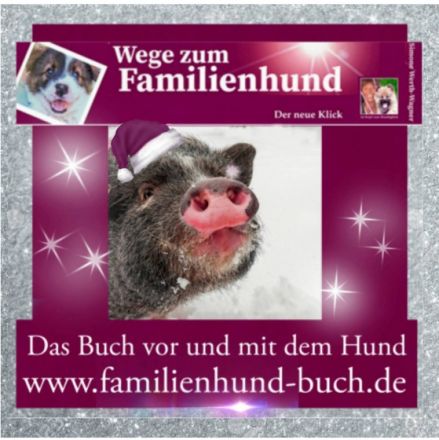 Wege zum Familienhund - Weihnachten 2022