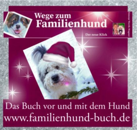 Weihnachtsgeschenk Hundebuch