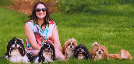 Shih Tzu Welpen – Reservierung für kommende Würfe (Bayern)