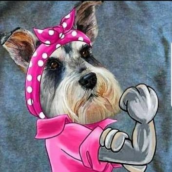 Ihr kompetenter Hundefrisör in Ostfriesland!