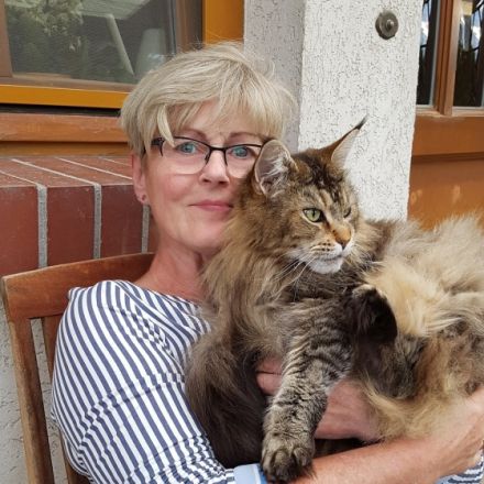 Maine Coon Cats of Bloomingtree