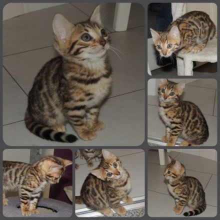 Wer hat noch keinen richtigen Freund? Oder haben sie