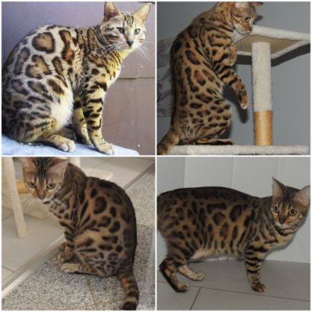 Wer hat noch keinen richtigen Freund? Oder haben sie