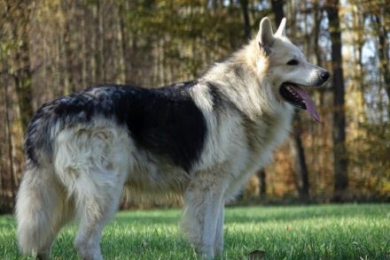 Am 03.12.2021 hat meine Hidayah 11 wunderschöne und