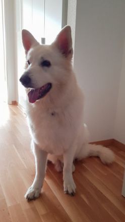 Argon Snow von der Nordhelle