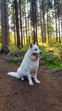 Argon Snow von der Nordhelle