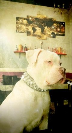 Beschreibung Details Anbieter Hallo, an alle