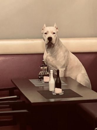 Beschreibung Details Anbieter Hallo, an alle