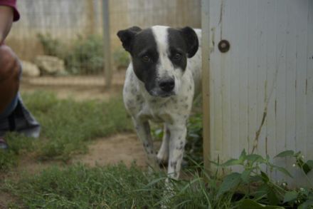 Berta sucht ihre Familie
