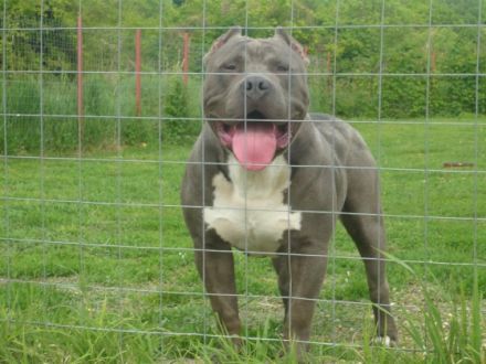 Beste geschenk für weinachten!!! Ich habe 4wunderschöne