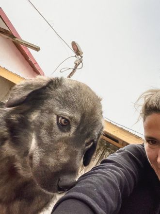 Loui, großer Hund, großes Herz, ca. 62cm