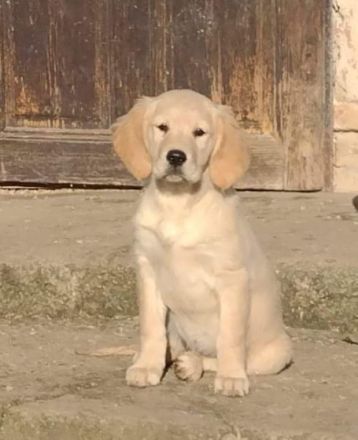 Ein Junge und ein Mädchen suchen nach langer