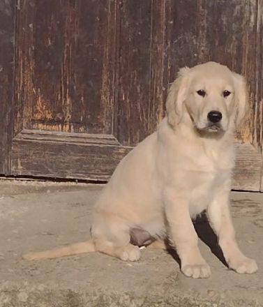 Ein Junge und ein Mädchen suchen nach langer