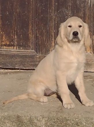 Ein Junge und ein Mädchen suchen nach langer