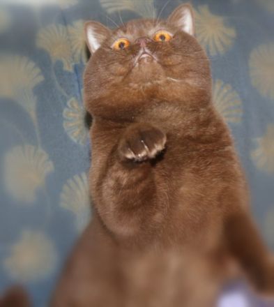 Meine zwei Designer Mädchen „Jil Sander“ und „Paloma