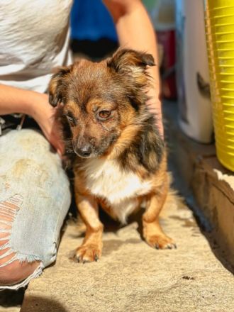Buddy starker Kerl im Kleinformat ca 25cm