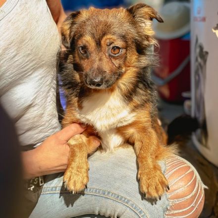 Buddy starker Kerl im Kleinformat ca 25cm