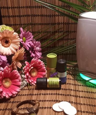 Mareike Wirth - Tierheilpraktikerin für alle Felle