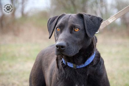 LIZA, die sportliche Liebe