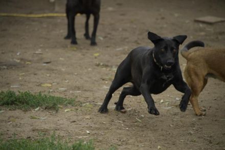 LIZA, die sportliche Liebe
