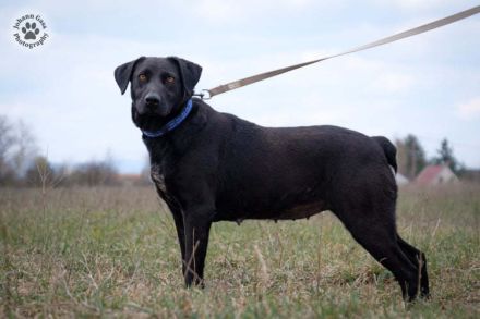 LIZA, die sportliche Liebe