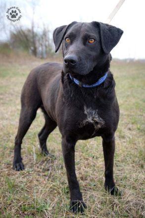 LIZA, die sportliche Liebe