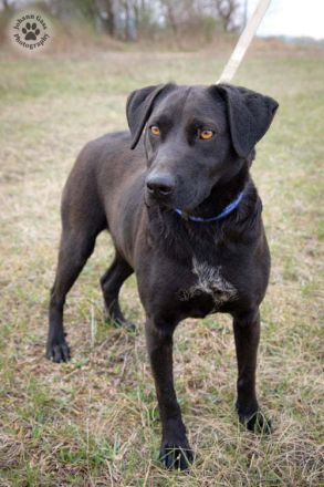 LIZA, die sportliche Liebe