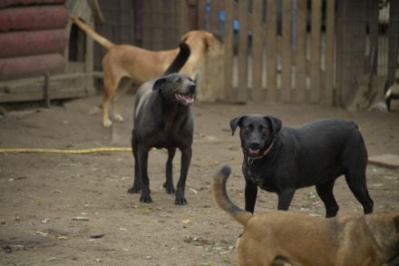 LIZA, die sportliche Liebe