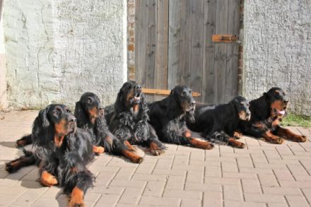 Von Duncunyah Castle