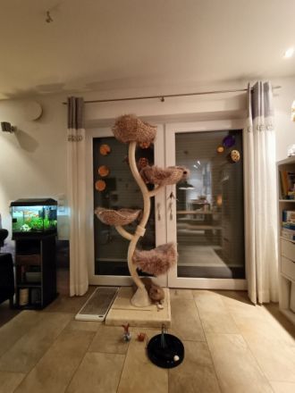 Britisch Kurzhaar, Schweren Herzens müssen wir uns von