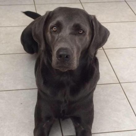 Nun ist es soweit,am 06.12.2021 wurden die kleinen