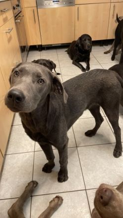 Nun ist es soweit,am 06.12.2021 wurden die kleinen