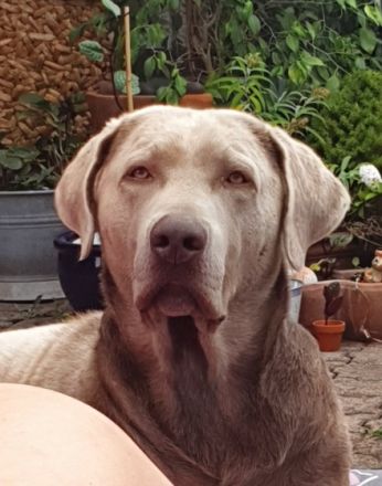 Nun ist es soweit,am 06.12.2021 wurden die kleinen